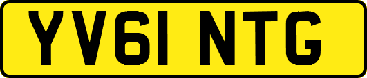 YV61NTG