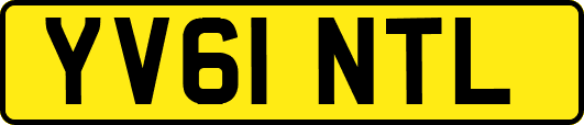 YV61NTL