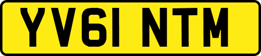 YV61NTM