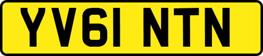 YV61NTN