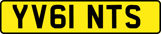 YV61NTS