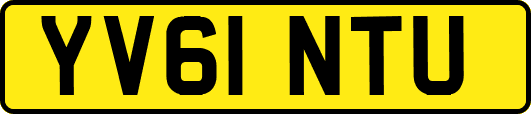 YV61NTU