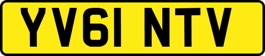 YV61NTV