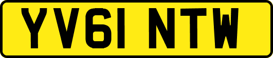 YV61NTW