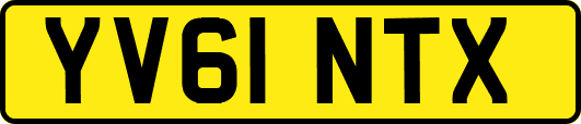 YV61NTX