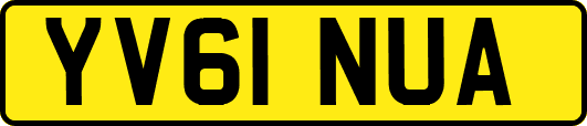 YV61NUA