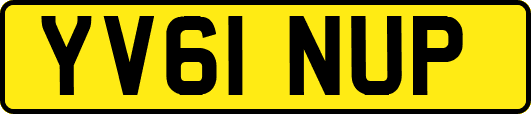 YV61NUP