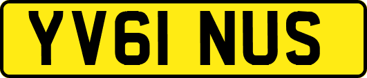 YV61NUS