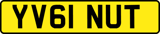 YV61NUT