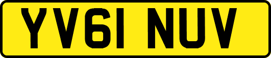 YV61NUV