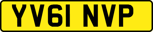 YV61NVP