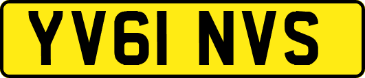 YV61NVS