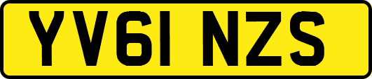 YV61NZS
