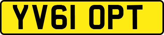 YV61OPT