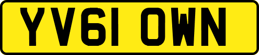 YV61OWN