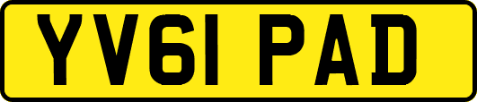 YV61PAD