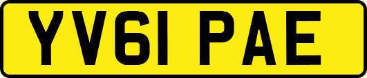 YV61PAE
