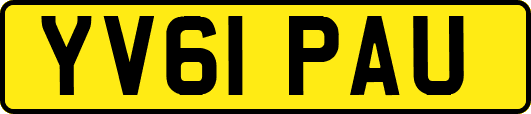 YV61PAU