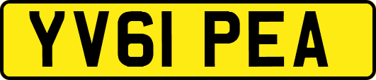 YV61PEA