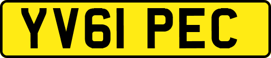 YV61PEC