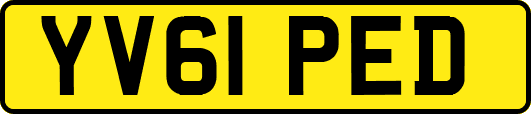 YV61PED