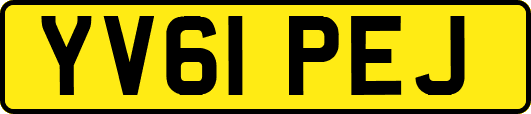YV61PEJ