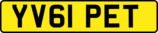 YV61PET