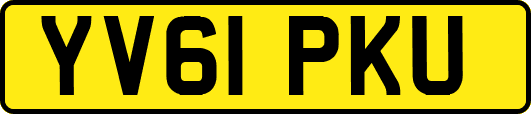 YV61PKU