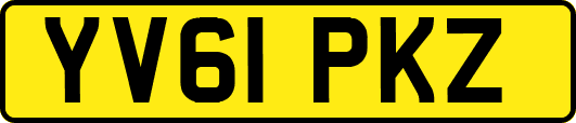 YV61PKZ