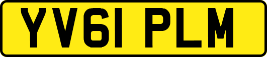 YV61PLM