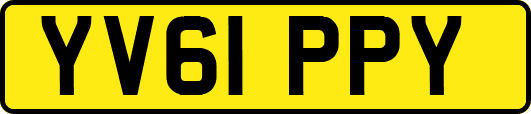 YV61PPY
