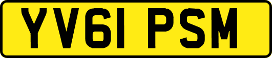 YV61PSM