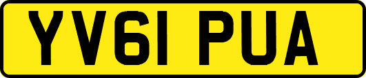 YV61PUA