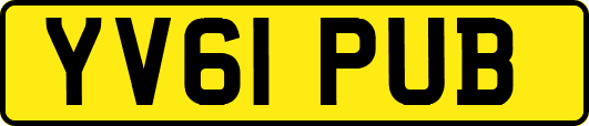 YV61PUB