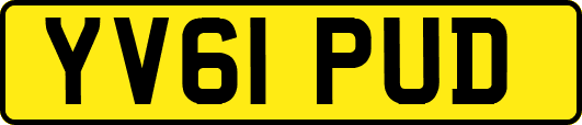 YV61PUD