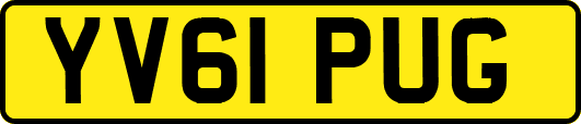 YV61PUG