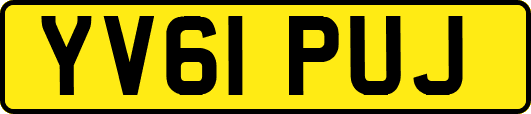YV61PUJ