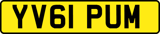 YV61PUM