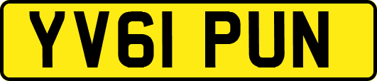 YV61PUN