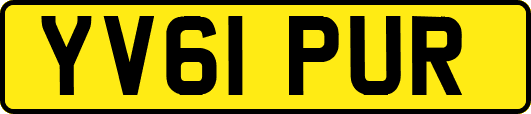 YV61PUR