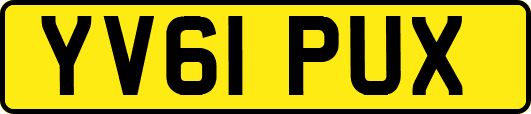 YV61PUX