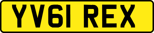 YV61REX