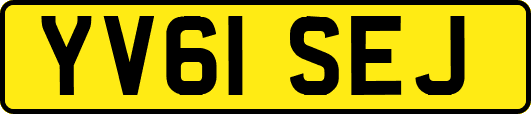 YV61SEJ