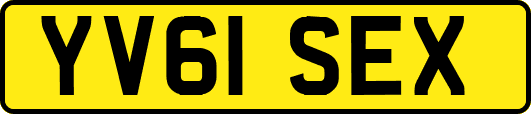 YV61SEX