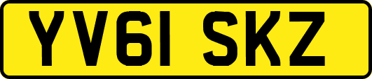 YV61SKZ