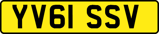 YV61SSV