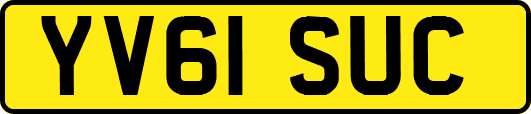 YV61SUC