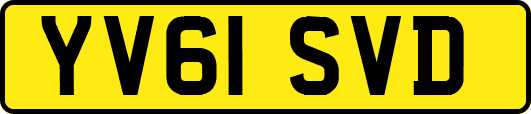 YV61SVD