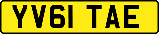 YV61TAE