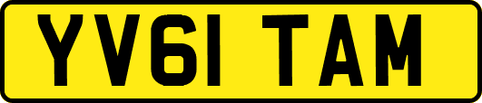 YV61TAM